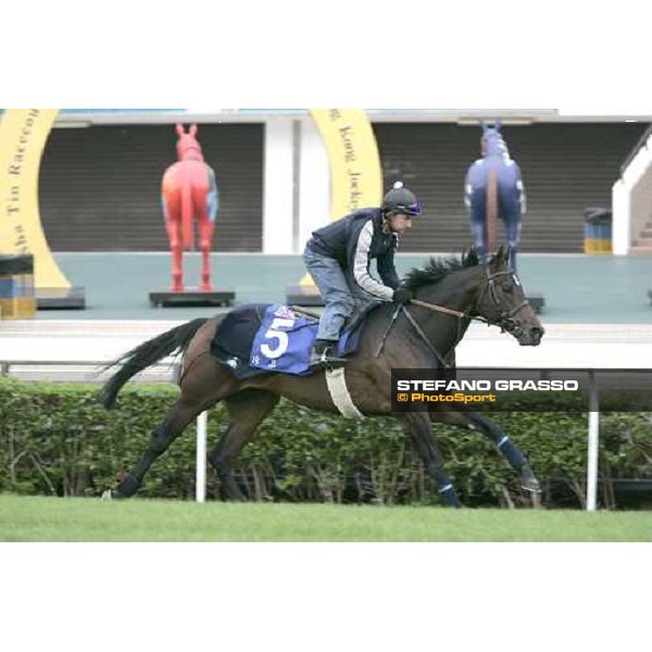 Court Masterpiece during morning track works at Sha Tin Hong Kong, 7th dec. 2005 ph. Stefano Grasso