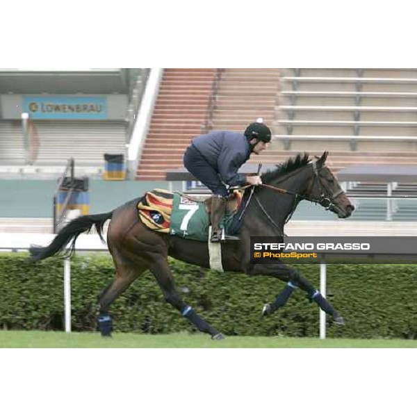 Oujia Board during morning track works at Sha Tin Hong Kong, 7th dec. 2005 ph. Stefano Grasso