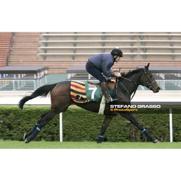 Oujia Board during morning track works at Sha Tin Hong Kong, 7th dec. 2005 ph. Stefano Grasso