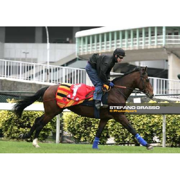 Maraahel during morning track works at Sha Tin Hong Kong, 7th dec. 2005 ph. Stefano Grasso