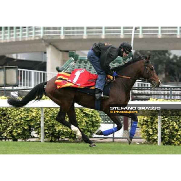 Maraahel during morning track works at Sha Tin Hong Kong, 7th dec. 2005 ph. Stefano Grasso