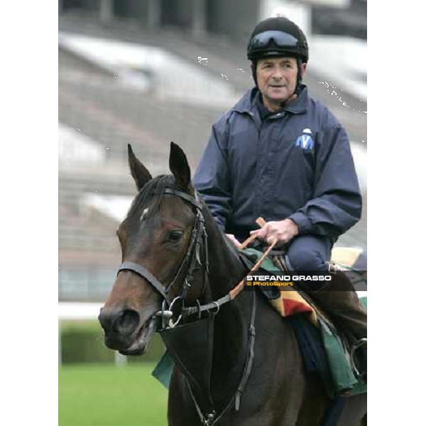 Oujia Board comes back after morning track works at Sha Tin Hong Kong, 7th dec. 2005 ph. Stefano Grasso