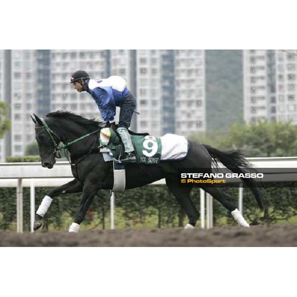 Six Sense during morning track works at Sha Tin Hong Kong, 7th dec. 2005 ph. Stefano Grasso