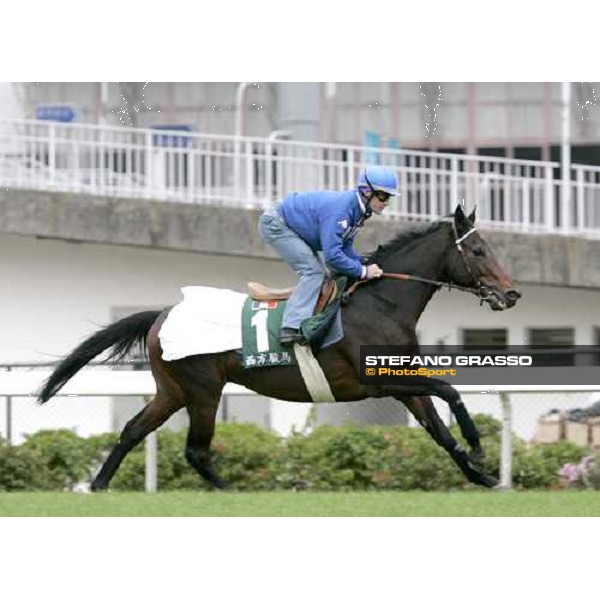 Olivier Peslier on Westerner during morning track works at Sha Tin Hong Kong, 7th dec. 2005 ph. Stefano Grasso