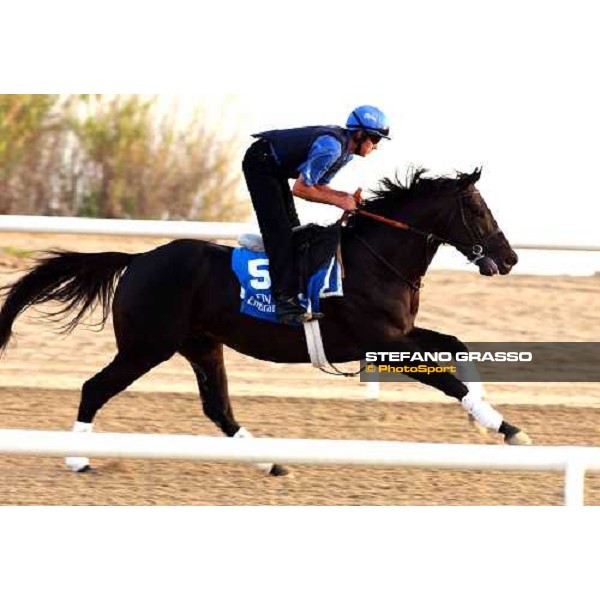 Country Reel Al Quoz, wednesday, 24th march 2004 ph. Stefano Grasso
