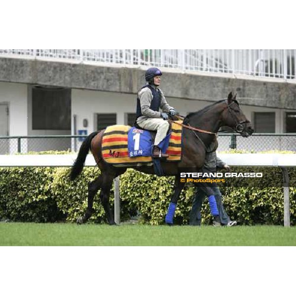 Rakti during morning track works at Sha Tin Hong Kong, 7th dec. 2005 ph. Stefano Grasso