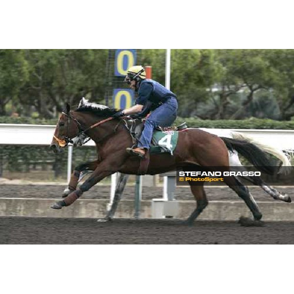 Warssan during morning track works at Sha Tin Hong Kong, 7th dec. 2005 ph. Stefano Grasso