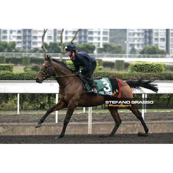 Norse Dancer during morning track works at Sha Tin Hong Kong, 7th dec. 2005 ph. Stefano Grasso