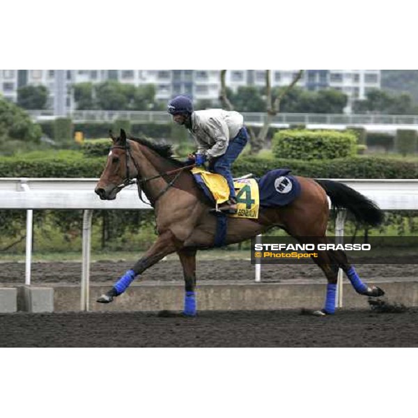 Benbaun during morning track works at Sha Tin Hong Kong, 7th dec. 2005 ph. Stefano Grasso