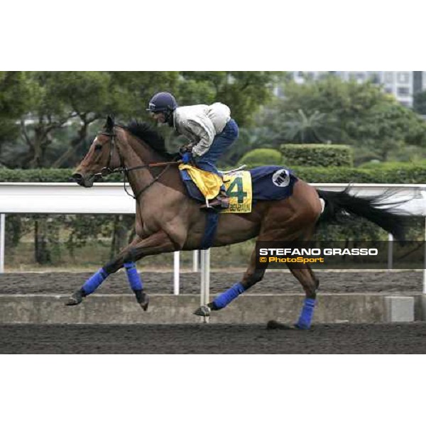 Benbaun during morning track works at Sha Tin Hong Kong, 7th dec. 2005 ph. Stefano Grasso