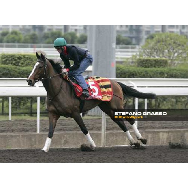 Alexander Goldrun during morning track works at Sha Tin Hong Kong, 7th dec. 2005 ph. Stefano Grasso