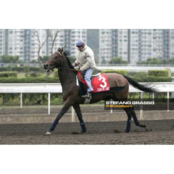 Touch of Land during morning track works at Sha Tin Hong Kong, 7th dec. 2005 ph. Stefano Grasso