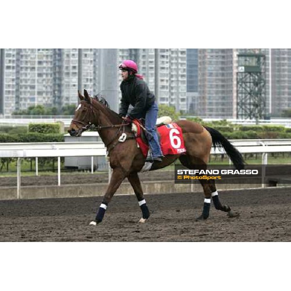 Pride during morning track works at Sha Tin Hong Kong, 7th dec. 2005 ph. Stefano Grasso