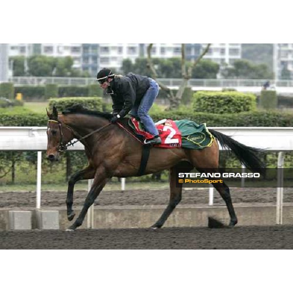 Epalo during morning track works at Sha Tin Hong Kong, 7th dec. 2005 ph. Stefano Grasso