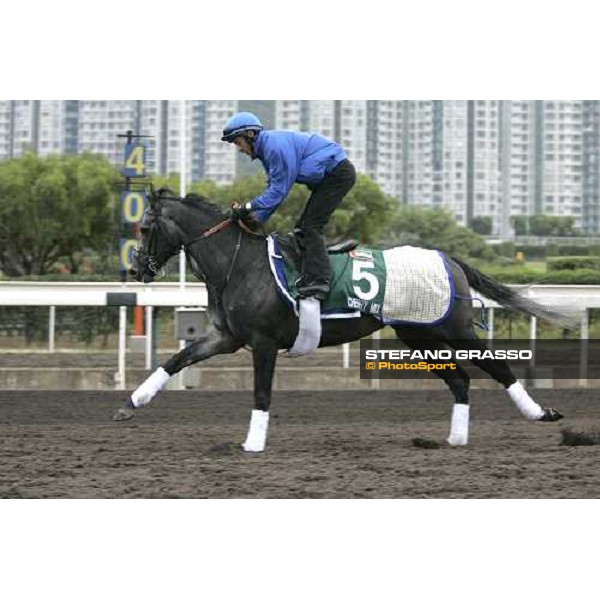 Cherry Mix during morning track works at Sha Tin Hong Kong, 7th dec. 2005 ph. Stefano Grasso