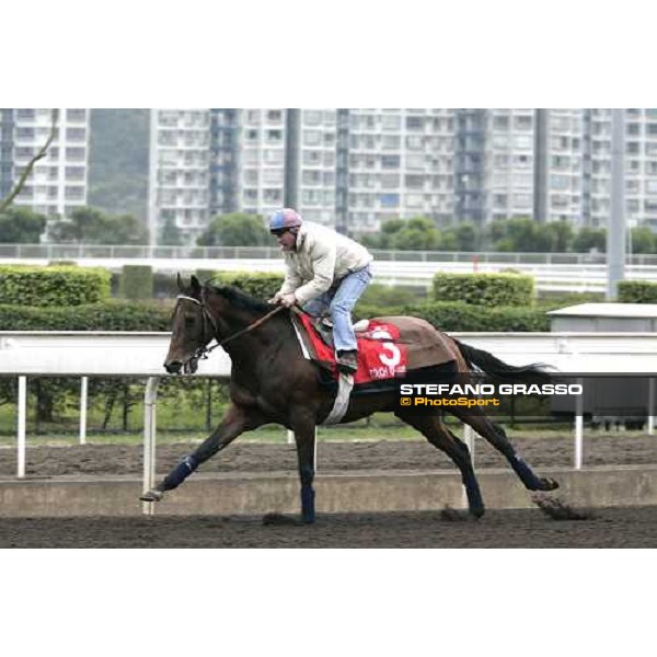 Touch of Land during morning track works at Sha Tin Hong Kong, 7th dec. 2005 ph. Stefano Grasso