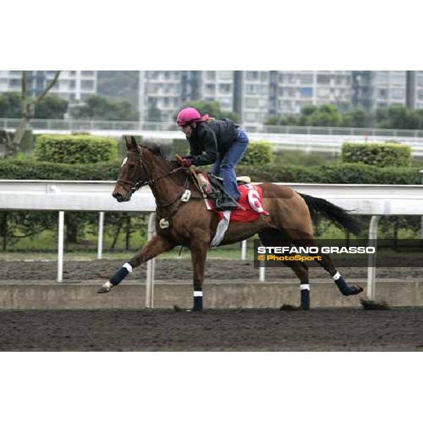 Pride during morning track works at Sha Tin Hong Kong, 7th dec. 2005 ph. Stefano Grasso