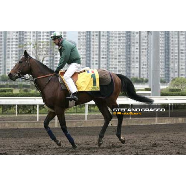 Chineur during morning track works at Sha Tin Hong Kong, 7th dec. 2005 ph. Stefano Grasso