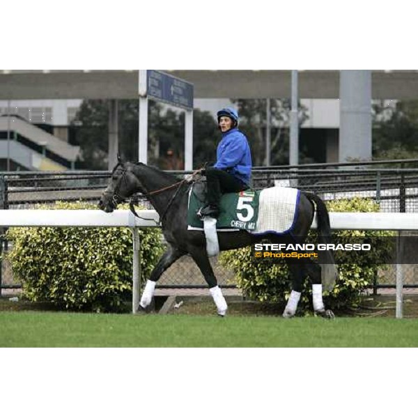 Cherry Mix comes back to the stable after morning track works at Sha Tin Hong Kong, 7th dec. 2005 ph. Stefano Grasso