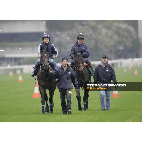 Court Masterpiece and Oujia Board come back to the stable after morning track works at Sha Tin Hong Kong, 7th dec. 2005 ph. Stefano Grasso