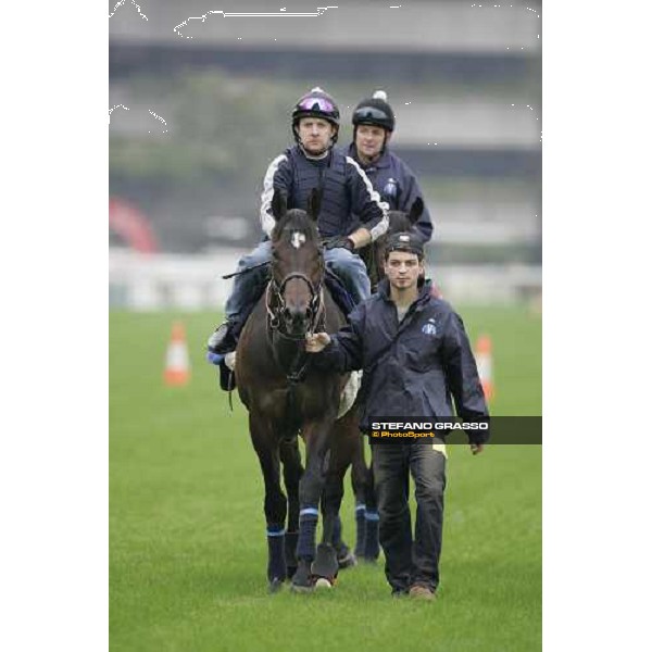 Court Masterpiece and Oujia Board come back to the stable after morning track works at Sha Tin Hong Kong, 7th dec. 2005 ph. Stefano Grasso