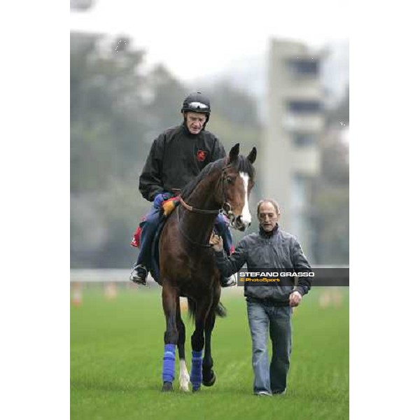 Maraahel comes back to the stable after morning track works at Sha Tin Hong Kong, 7th dec. 2005 ph. Stefano Grasso