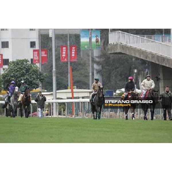 horses prepare for morning track works at Sha Tin Hong Kong, 7th dec. 2005 ph. Stefano Grasso