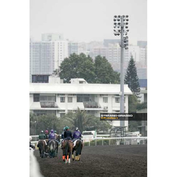 morning track works at Sha Tin Hong Kong, 7th dec. 2005 ph. Stefano Grasso