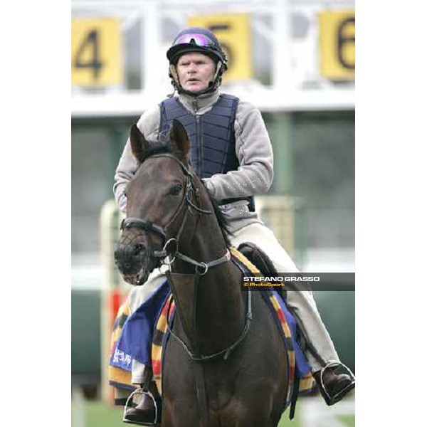 Rakti comes back to the stable after morning track works at Sha Tin Hong Kong, 7th dec. 2005 ph. Stefano Grasso