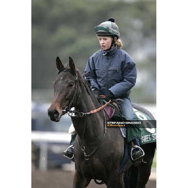 a close up for Sweet Stream after morning track works at Sha Tin Hong Kong, 7th dec. 2005 ph. Stefano Grasso