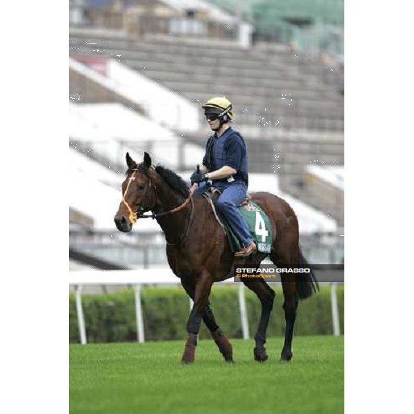 Warrsan comes back to the stable after morning track works at Sha Tin Hong Kong, 7th dec. 2005 ph. Stefano Grasso