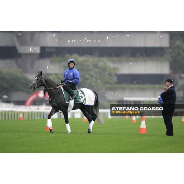 Cherry Mix comes back to the stable after morning track works at Sha Tin Hong Kong, 7th dec. 2005 ph. Stefano Grasso