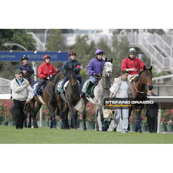 Chineur, Reefscape, Sweet Stream, Court Masterpiece and Oujia Board preparing for morning works at Sha Tin race track Hong Kong, 9th dec. 2005 ph. Stefano Grasso