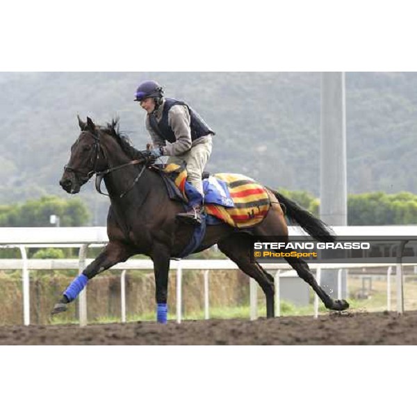 Rakti during morning works at Sha Tin race track Hong Kong, 9th dec. 2005 ph. Stefano Grasso