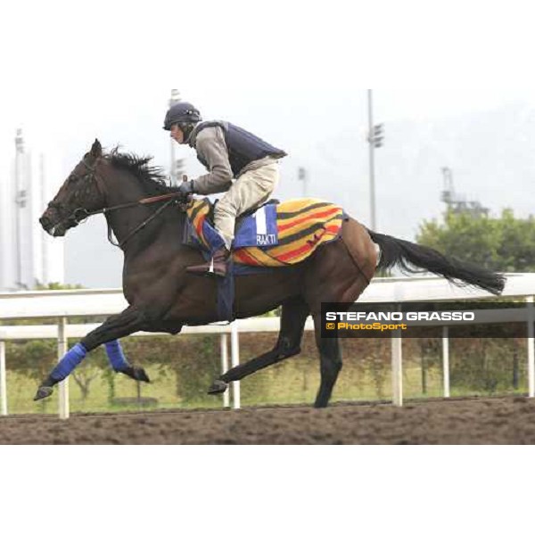 Rakti during morning works at Sha Tin race track Hong Kong, 9th dec. 2005 ph. Stefano Grasso