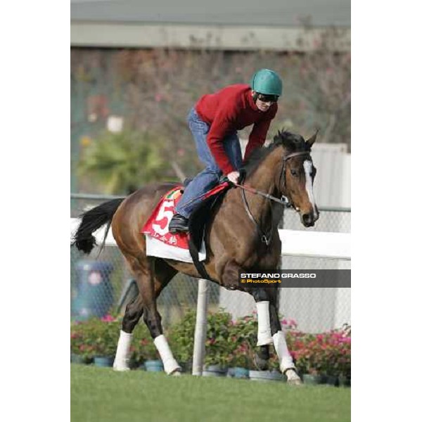 Alexander Goldrun during morning works at Sha Tin race track Hong Kong, 9th dec. 2005 ph. Stefano Grasso