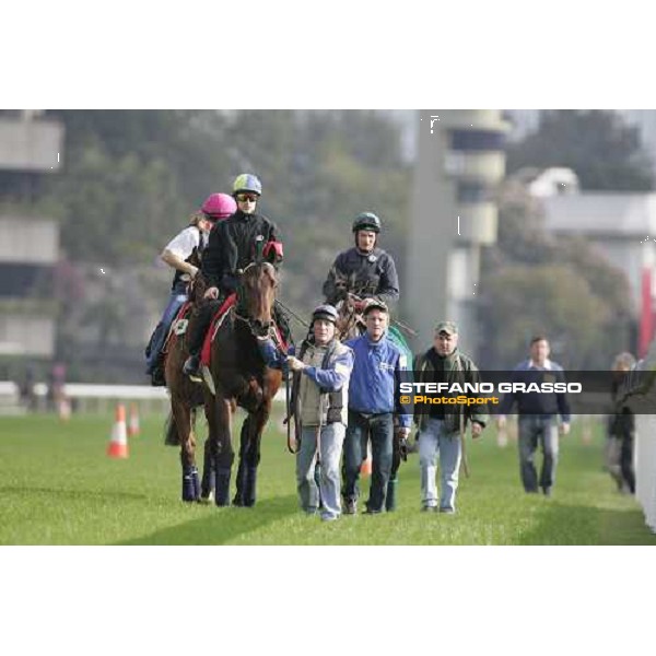 Touch of Land, followed by Pride and Shamdala after morning works at Sha Tin race track Hong Kong, 9th dec. 2005 ph. Stefano Grasso