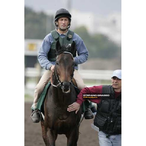 Westerner comes back to the stable after morning works at Sha Tin race track Hong Kong, 9th dec. 2005 ph. Stefano Grasso