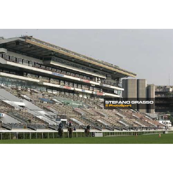 horses in training in front of the grandstand of Sha Tin race course during morning works Hong Kong, 9th dec. 2005 ph. Stefano Grasso