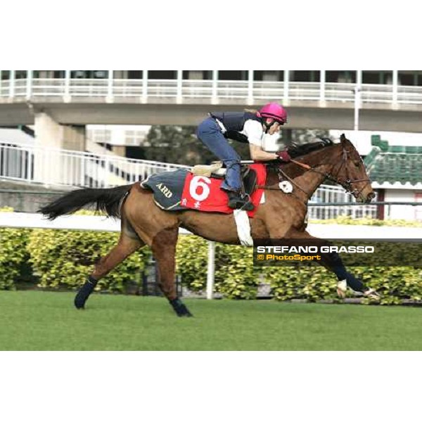 Pride during morning works at Sha Tin race track Hong Kong, 9th dec. 2005 ph. Stefano Grasso