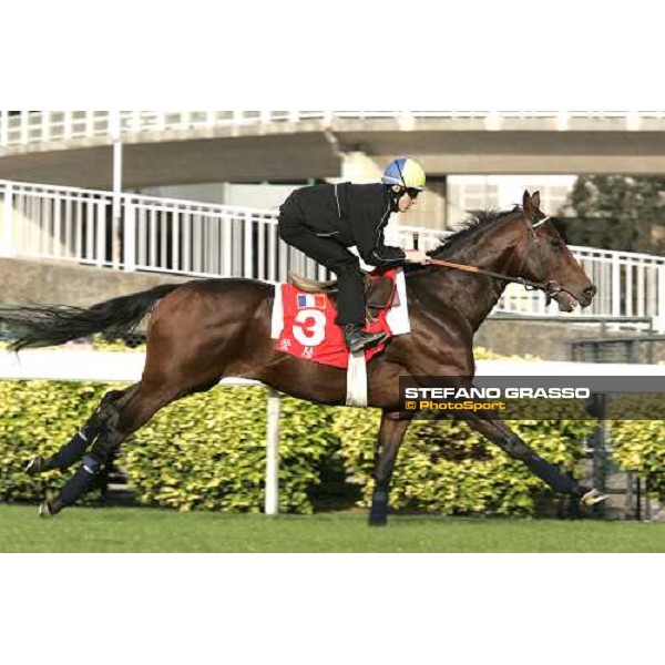 Christophe Patrice Lemaire on Touch of Land during morning works at Sha Tin race track Hong Kong, 9th dec. 2005 ph. Stefano Grasso