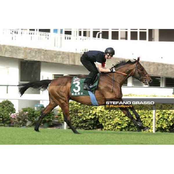 Norse Dancer during morning works at Sha Tin race track Hong Kong, 9th dec. 2005 ph. Stefano Grasso