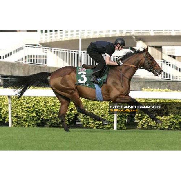 Norse Dancer during morning works at Sha Tin race track Hong Kong, 9th dec. 2005 ph. Stefano Grasso