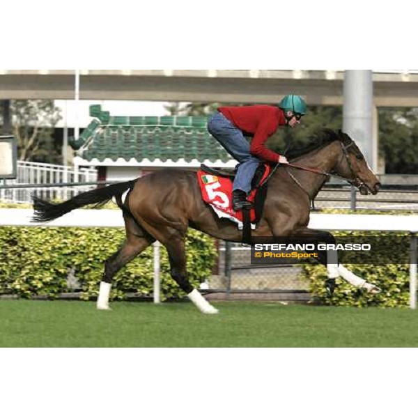 Alexander Goldrun during morning works at Sha Tin race track Hong Kong, 9th dec. 2005 ph. Stefano Grasso