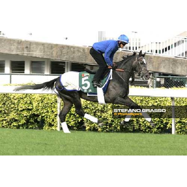 Cherry Mix during morning works at Sha Tin race track Hong Kong, 9th dec. 2005 ph. Stefano Grasso
