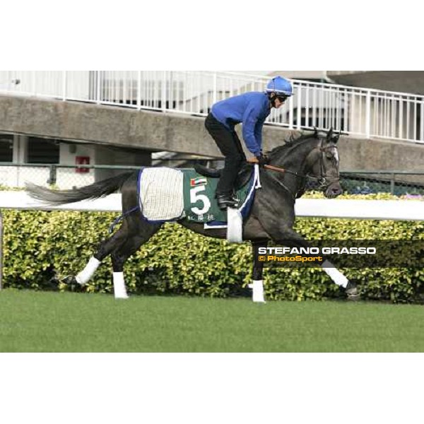 Cherry Mix during morning works at Sha Tin race track Hong Kong, 9th dec. 2005 ph. Stefano Grasso