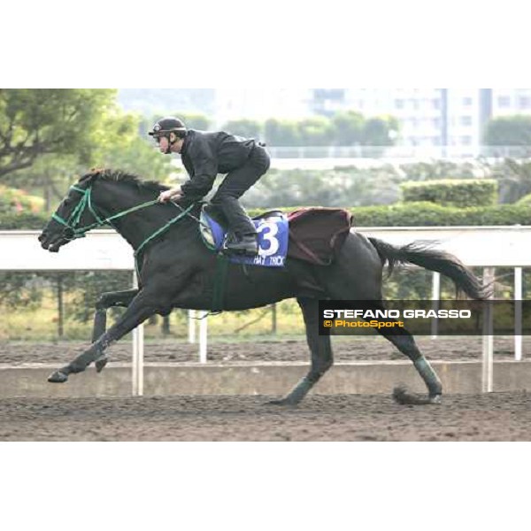 Hat Trick during morning works at Sha Tin race track Hong Kong, 9th dec. 2005 ph. Stefano Grasso