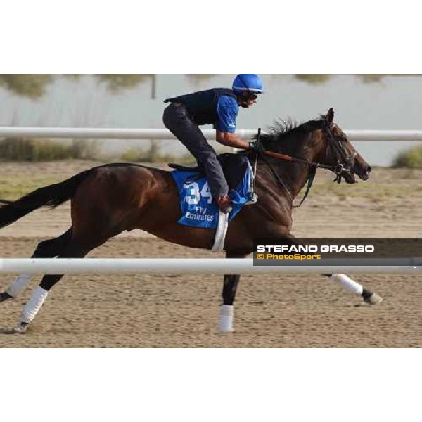 Leadership Al Quoz, wednesday, 24th march 2004 ph. Stefano Grasso