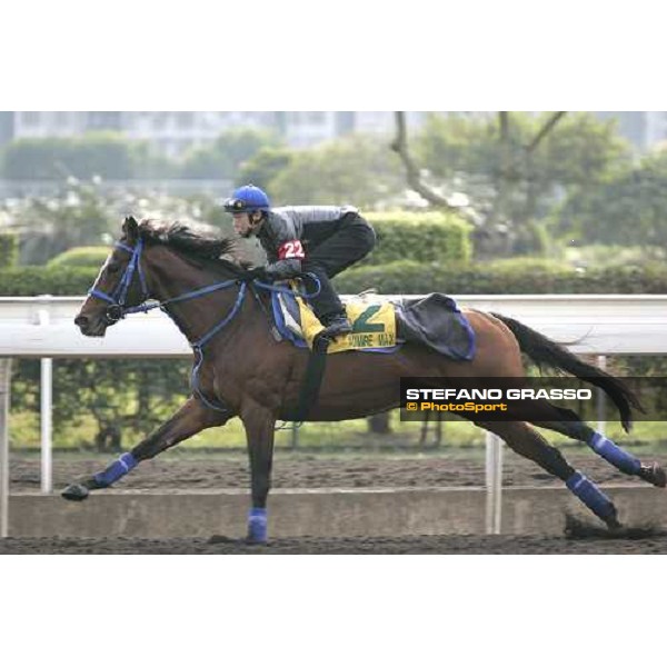 Admire Max during morning works at Sha Tin race track Hong Kong, 9th dec. 2005 ph. Stefano Grasso