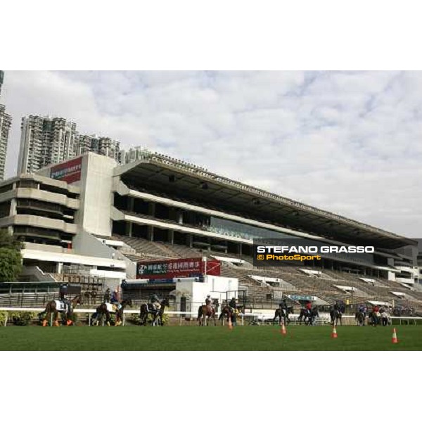 European horses preparing for morning works at Sha Tin race track Hong Kong, 9th dec. 2005 ph. Stefano Grasso